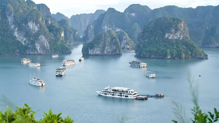 Art for Climate Festival Halong 2025 (Quảng Ninh):
