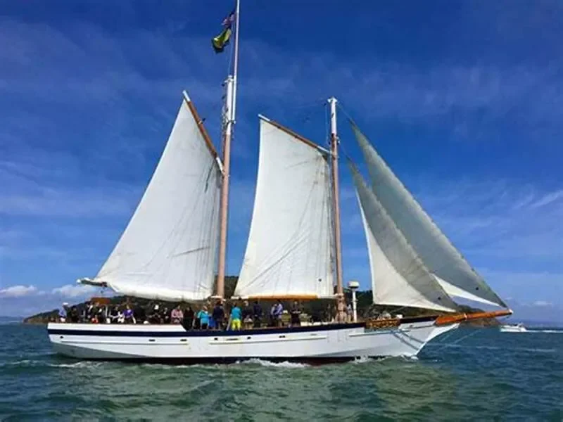 Sailing festivals, heritage regattas, and Sea shanties (Toàn cầu)