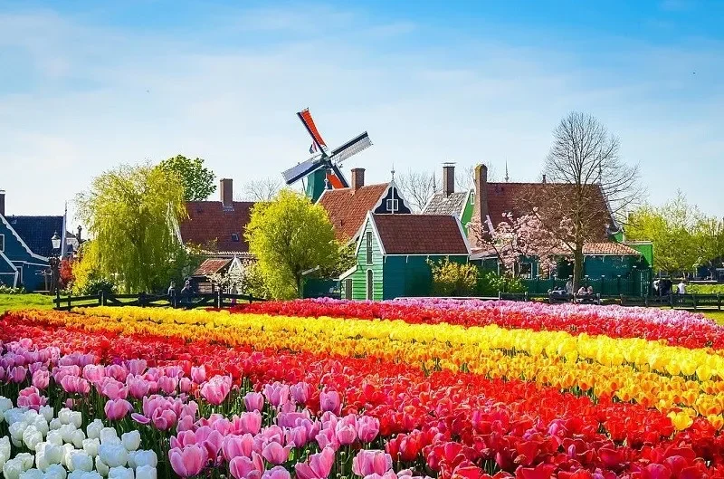 Keukenhof (Lisse, Hà Lan)