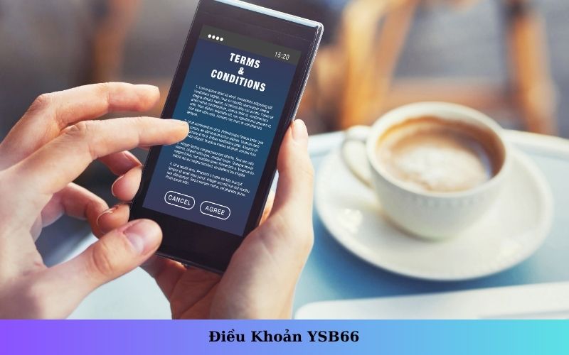 Điều Khoản YSB66